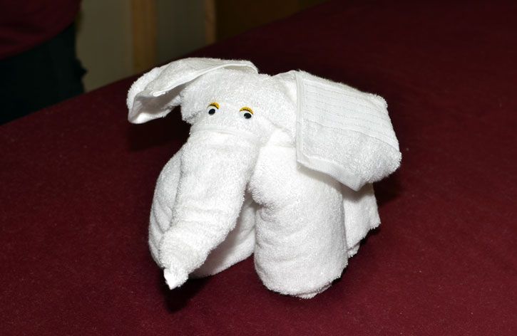 Elephant origami!