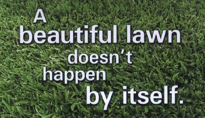 A.P. Lawn Care And Services