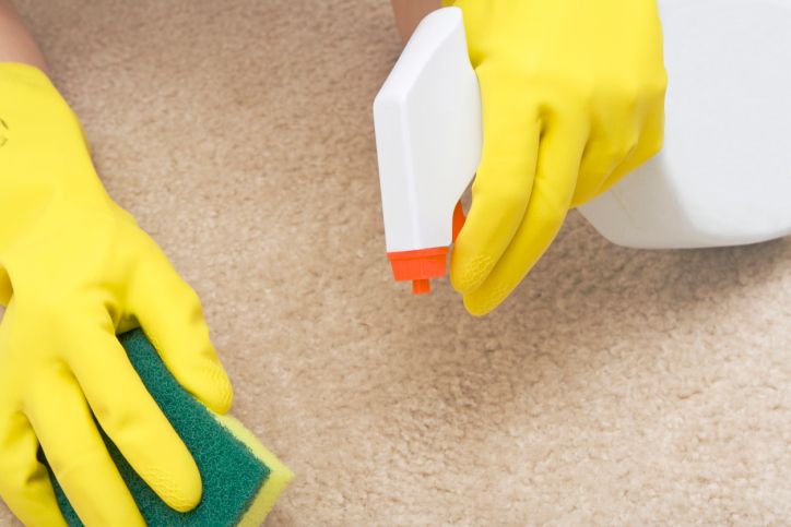 Gentle Touch Carpet Clean