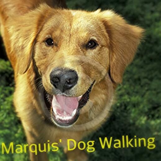 Marquis' Dog Walking