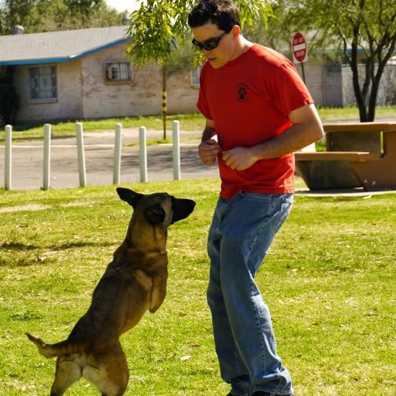 Manners and More Dog Training