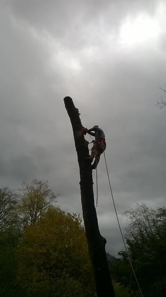 another day at the office