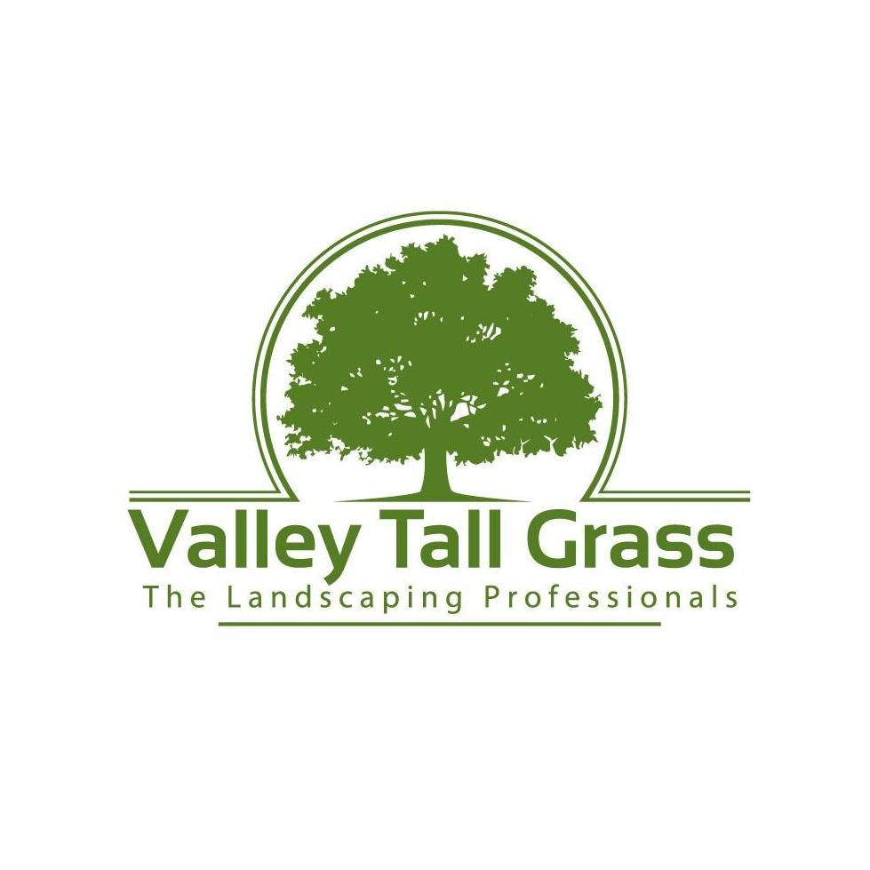 Valley Tall Grass
