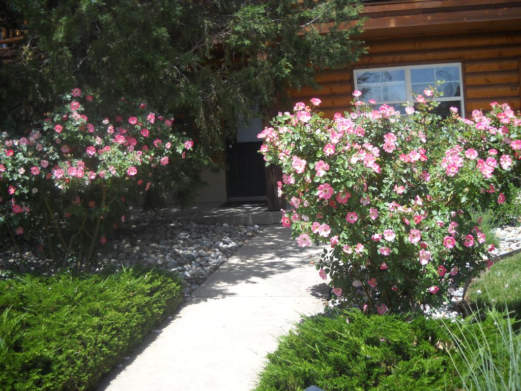 Rose Pathway