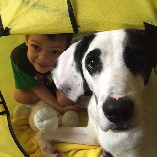 My dog and son in their tent! 