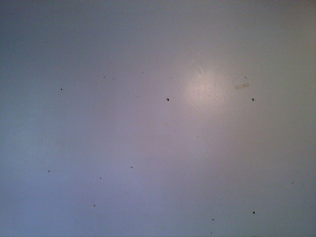 Cleaned residential wall #1