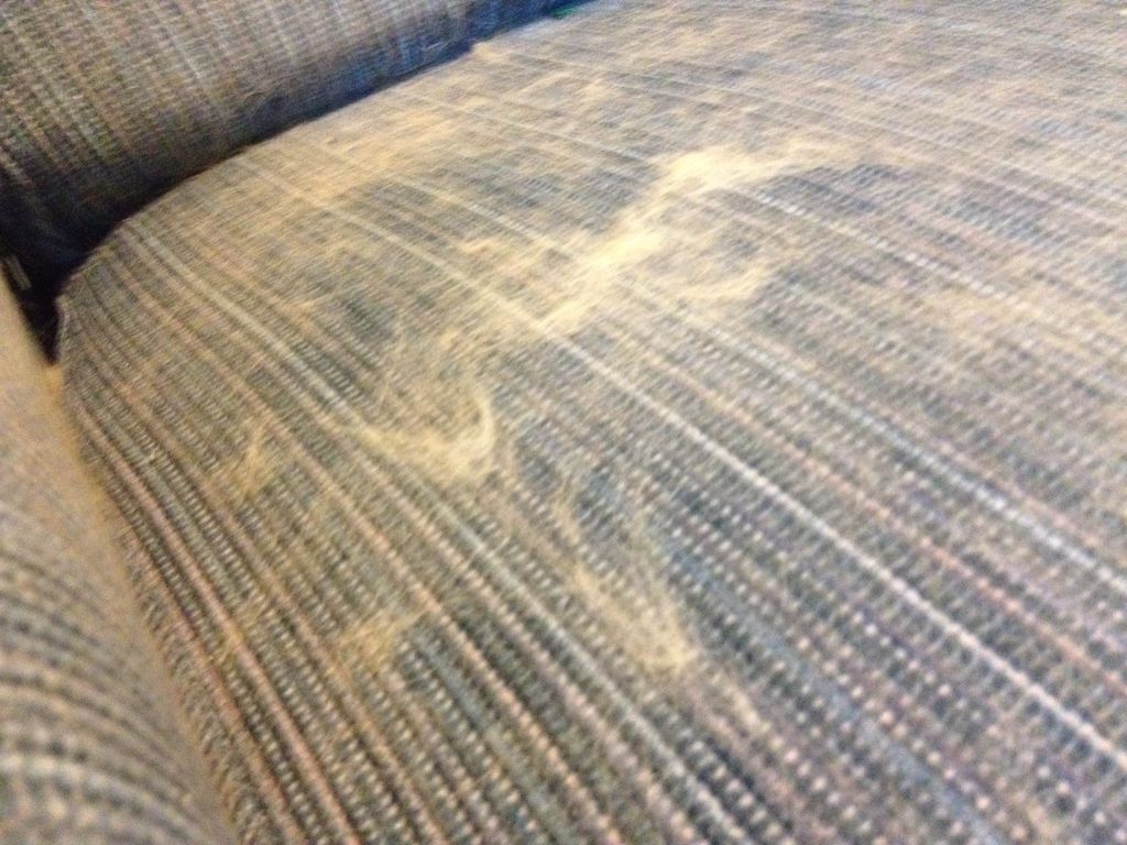 Chair Before