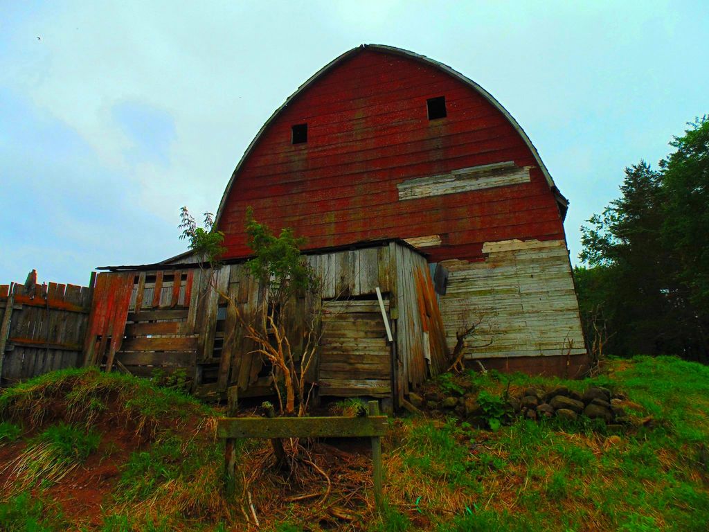 Behind The Barn