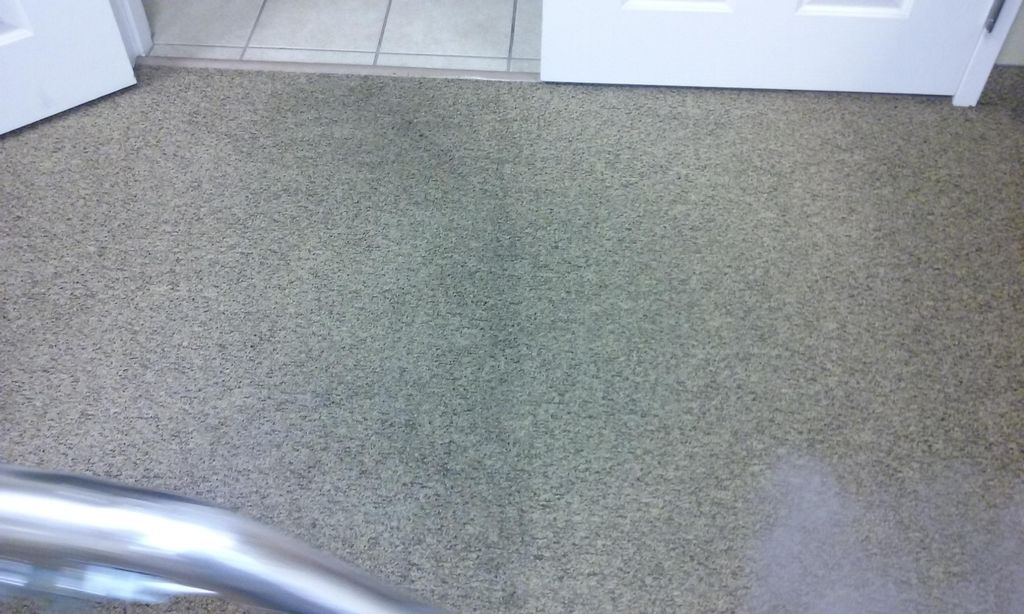 Cleaning the Carpet at a Firehouse. Some serious d