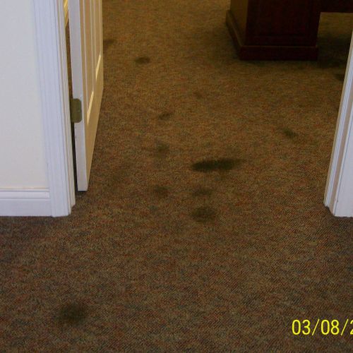 Office carpet with deep black spots. 
Before carpe