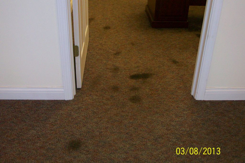 Office carpet with deep black spots. 
Before carpe