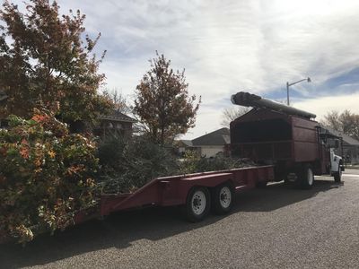 Avatar for Five Star Tree Service