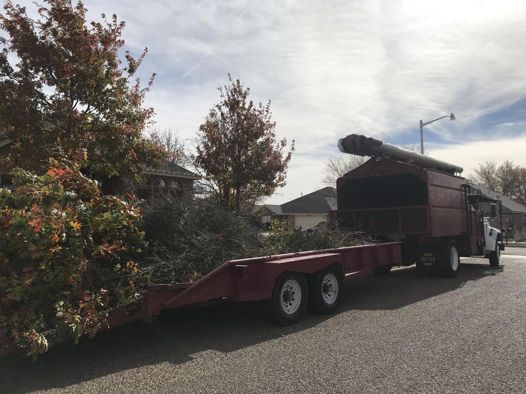 Five Star Tree Service