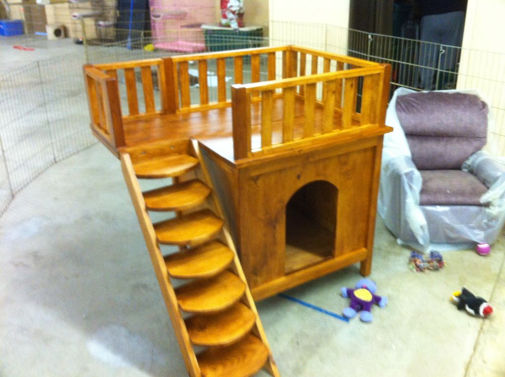 Doggy Daycare house