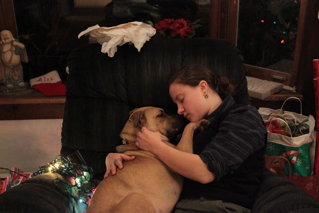 My frightened-of-everything abused rescue-dog afte