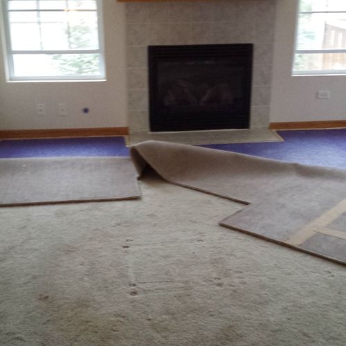 Living room carpet tear out. ( Before )
