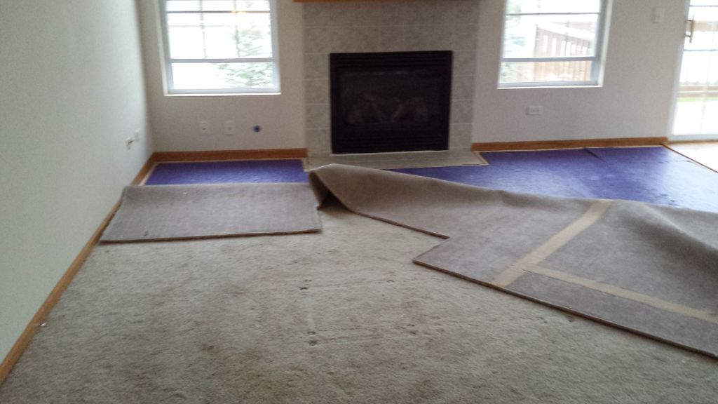Living room carpet tear out. ( Before )