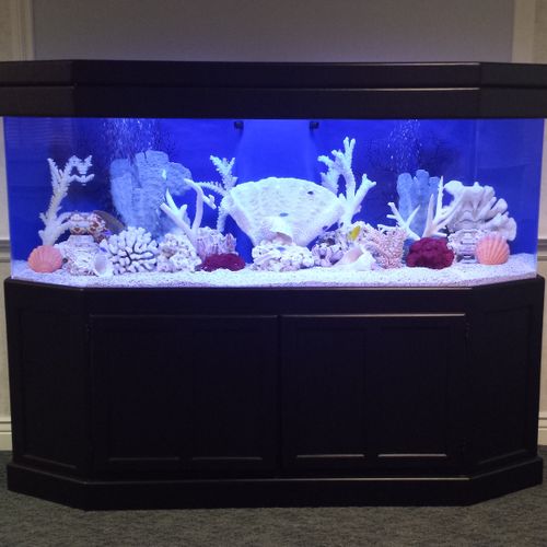 This Is a Picture Of A 135 Gallon Saltwater Aquari