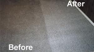 Carpet Cleaning Hollywood, FL