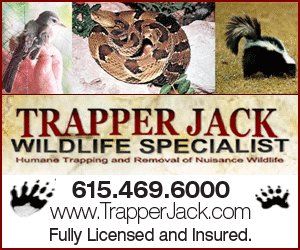 Trapper Jack Wildlife Specialist