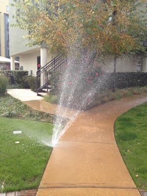 Broken sprinkler head