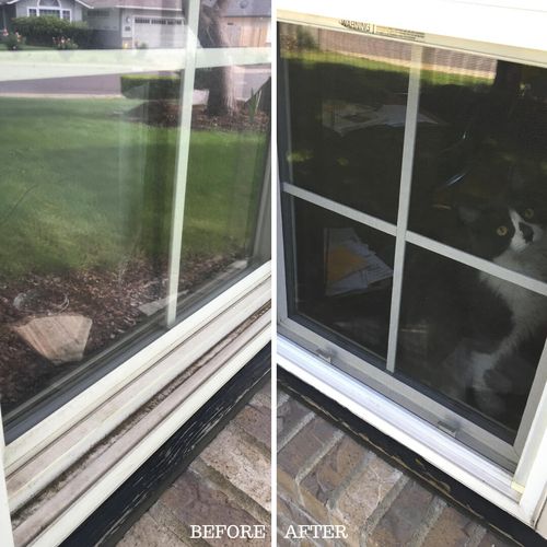 Window Clean Before/After