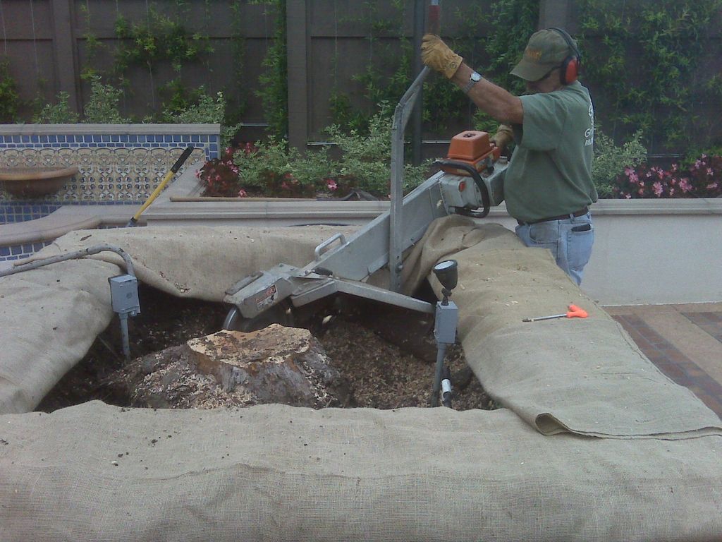 Planter Box Stump location was the presidents hous