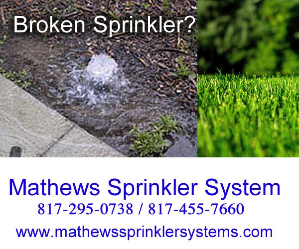 We have built a solid reputation for expert sprink