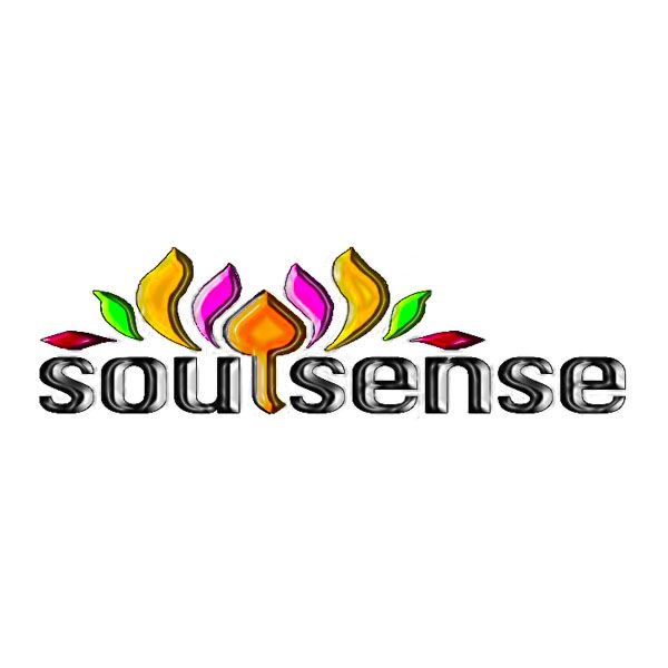 Soulsense Productions Event Planning
