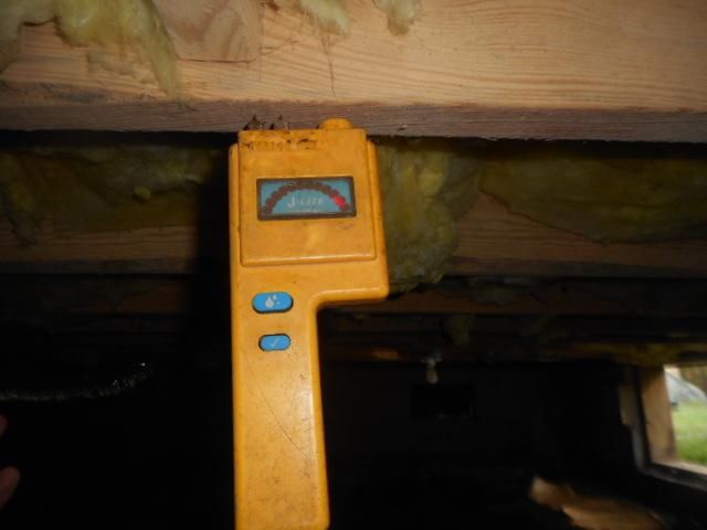 Moisture readings are taken