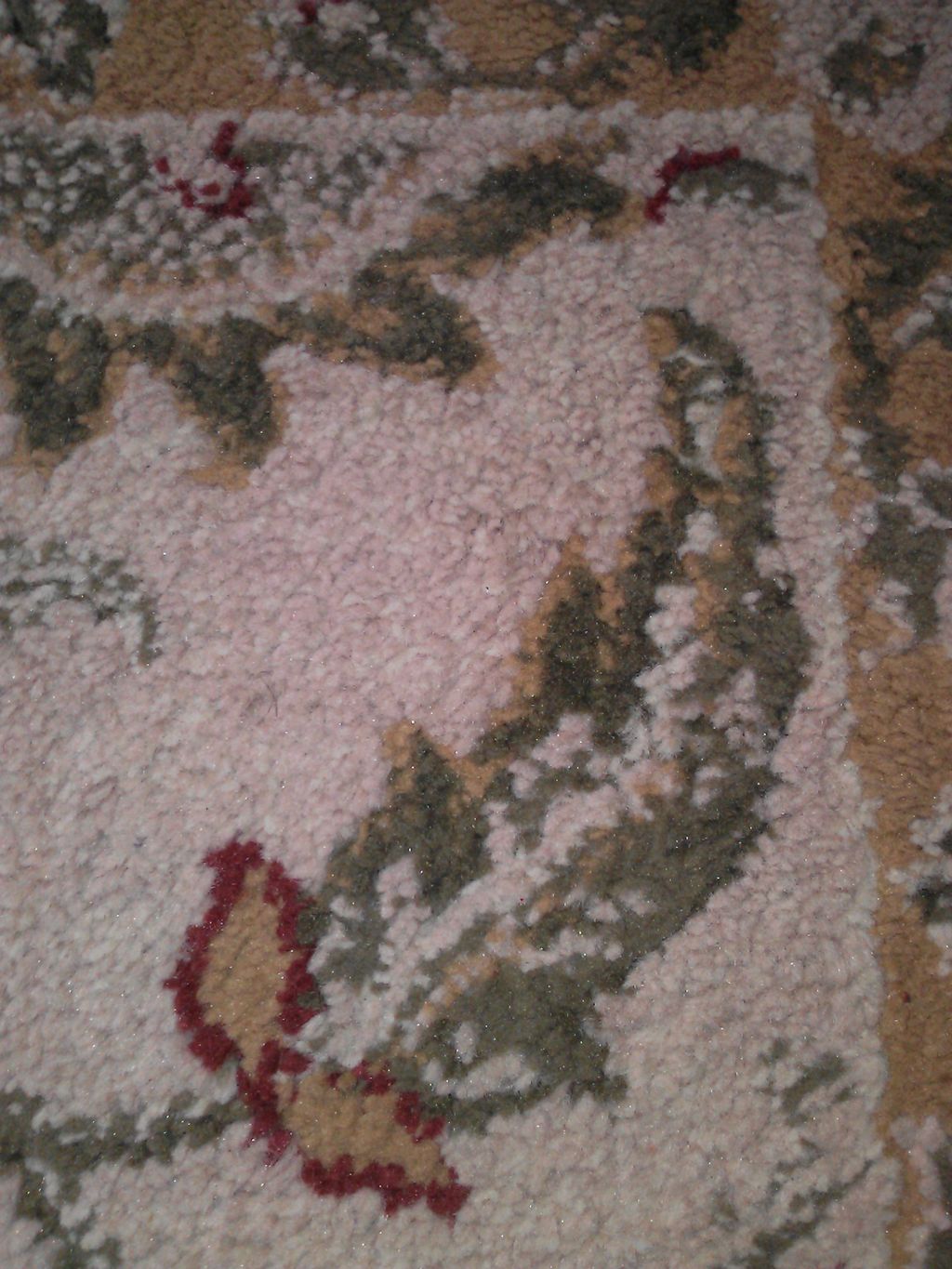 After photo shoe polish removed.