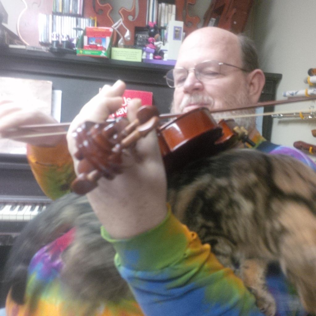 Cat and the Fiddle