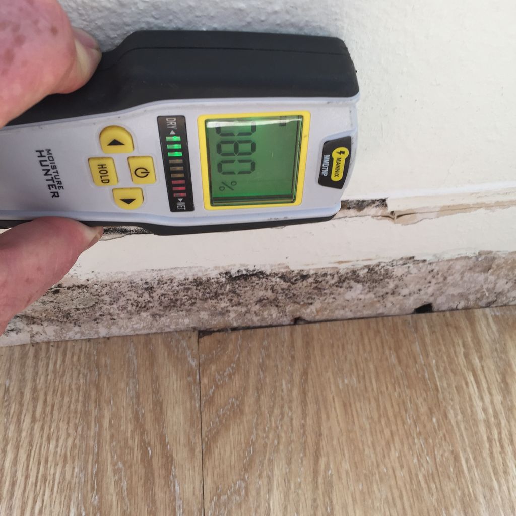 Moisture meter in action