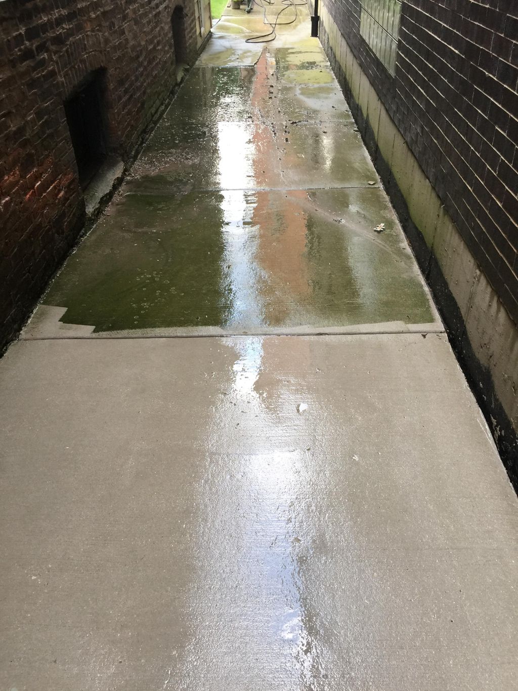 Transform your green sidewalk into bright walkways