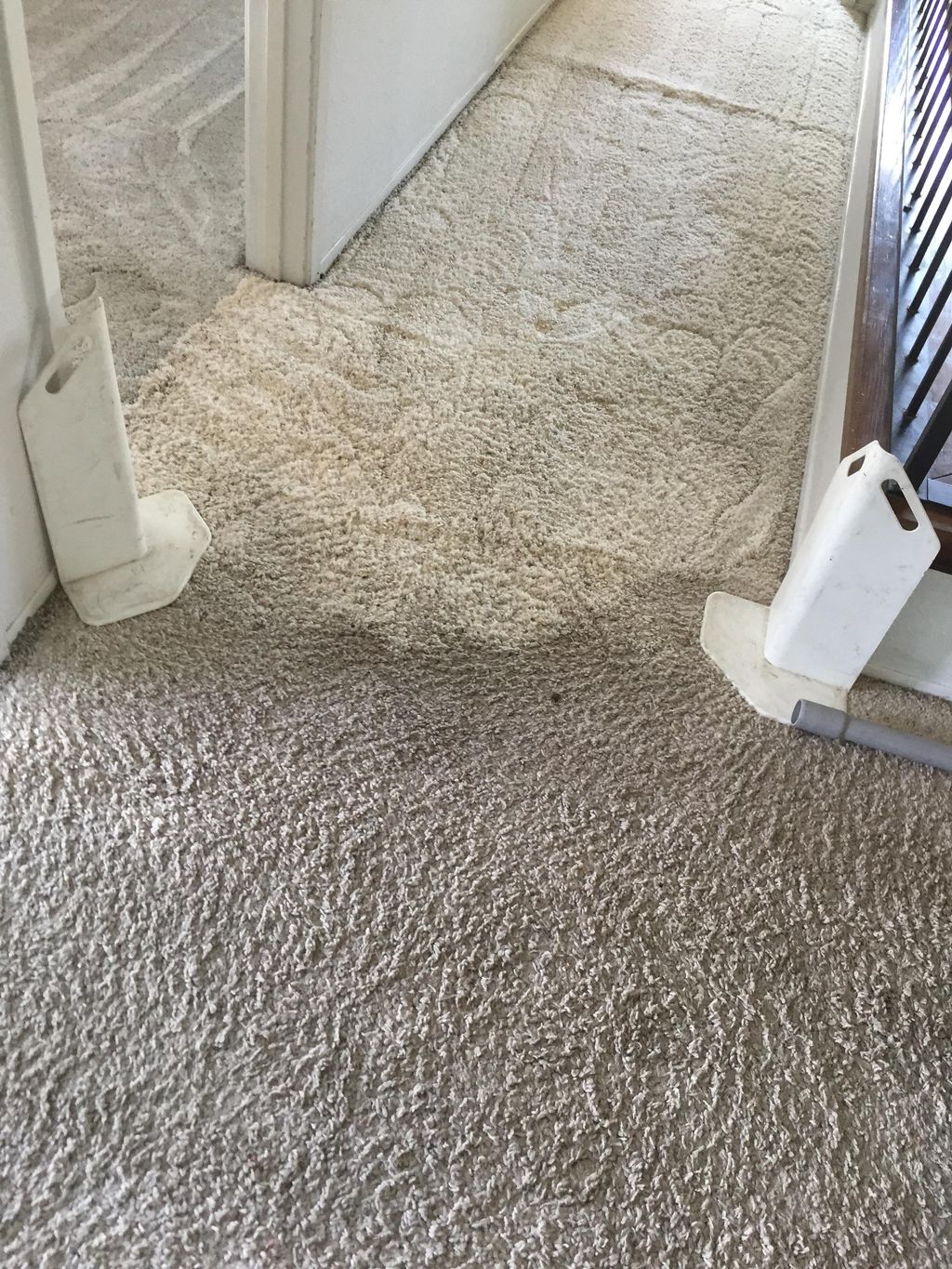 Good Guys Professional Carpet Cleaning