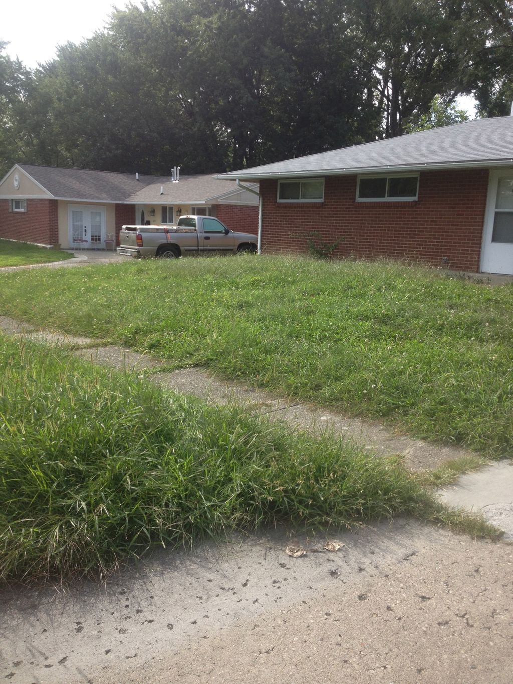 before --- high grass