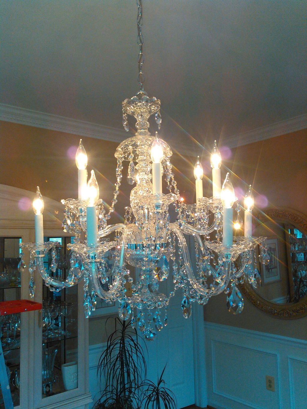 Schonbec 12 light chandelier