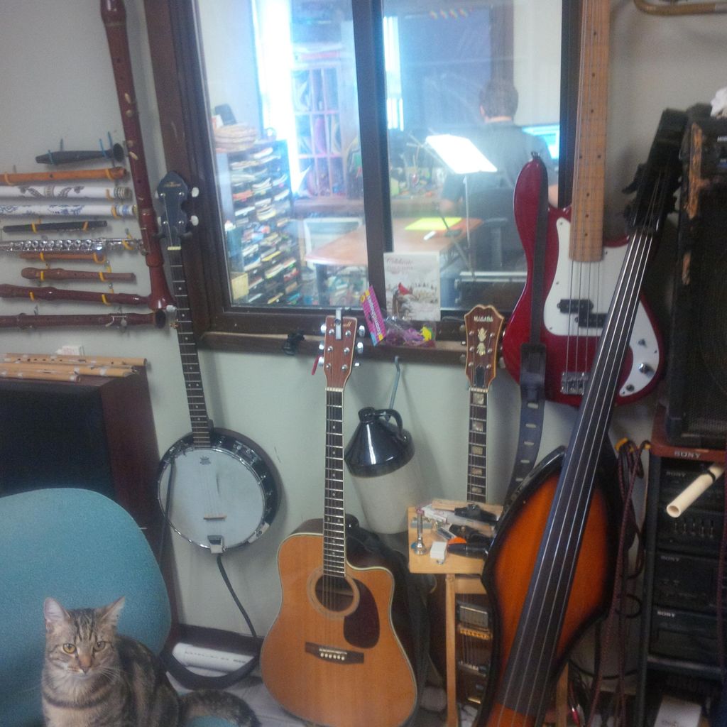 Folk Instruments