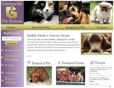 Gainesville Pet Rescue, Non-Profit Website Design
