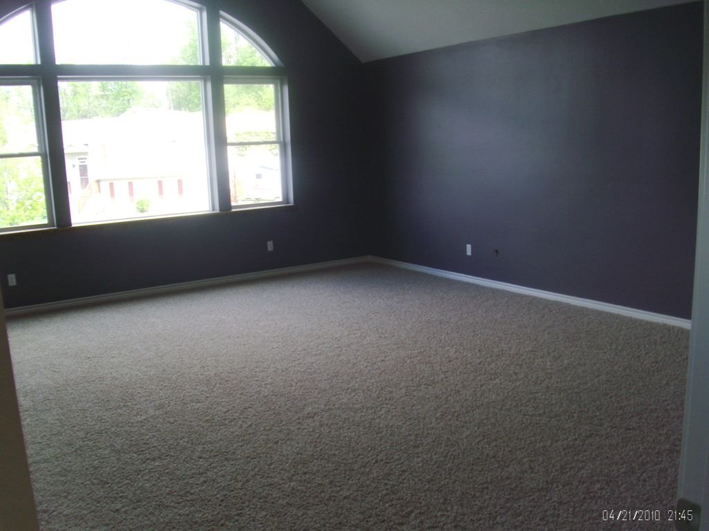 Carpet and Paint