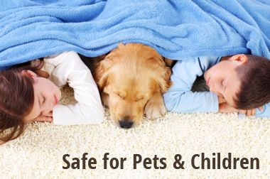 Safe for Pets & Children