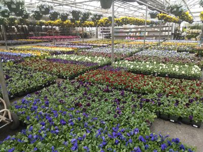 Avatar for j Luna Landscaping  and Manson service