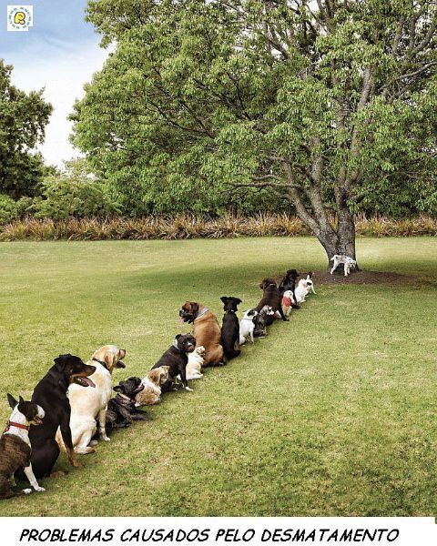Business is lining up.