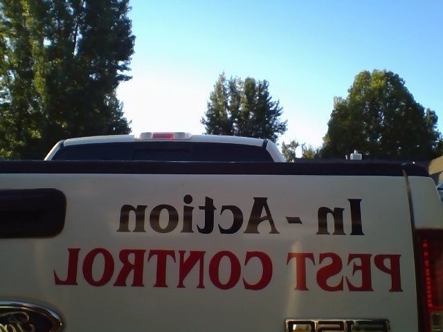 we are in action and gone