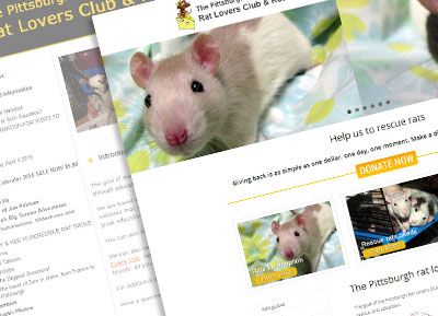 Pittsburgh rat lovers club & rescue
Website re des