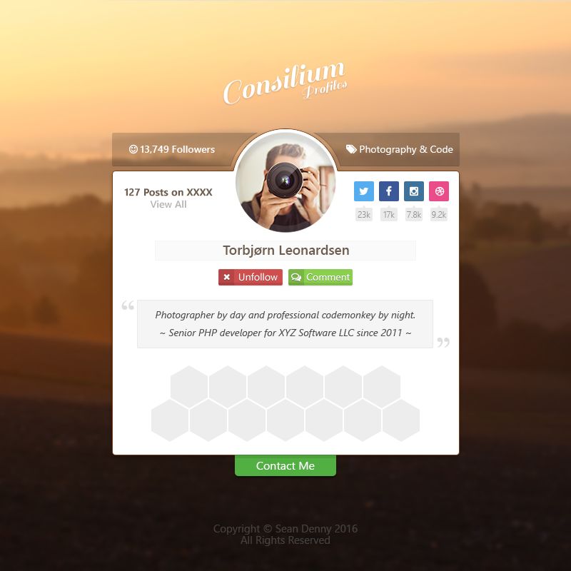 Here is a concept profile design for a website tha
