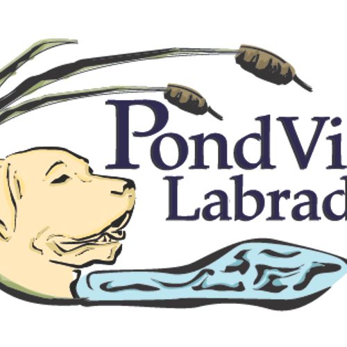 Pondview Labrador Logo