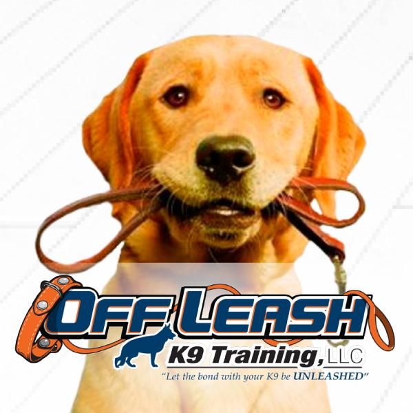 Off Leash K9 Training, Pittsburgh