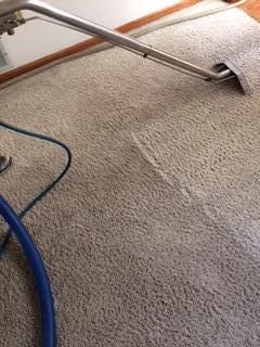 Carpet Cleaning