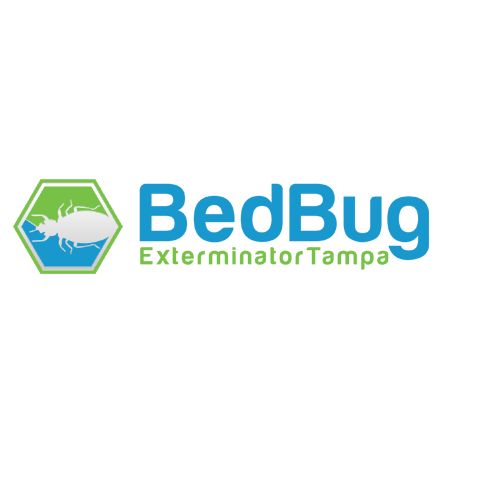 Bed Bug Exterminator Tampa